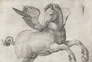 Pegaso, 1509-16