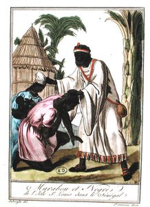 Marabú de Saint-Louis, Senegal de Jacques (after) Grasset de Saint Sauveur