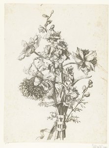 Ramo con anémonas, un jacinto y espuelas de caballero Diverse Fleurs mises en Boucquets (título de la serie) de Jacques Bailly (I)