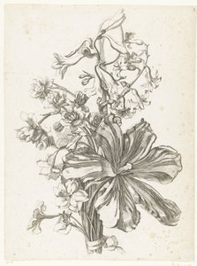 Ramo con tulipán, jacinto, brodiaea y narcisos Diverse Fleurs mises en Boucquets (título de la serie) de Jacques Bailly (I)