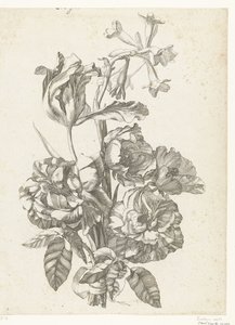 Ramo de peonías, tulipán y brodiaea Diverse Fleurs mises en Boucquets (título de la serie)