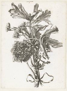 Ramo de tulipanes marchitos, anémona y siemprevivas Diverse Fleurs mises en Boucquets (título de la serie) de Jacques Bailly (I)