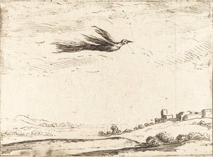 Ave del paraíso de Jacques Callot