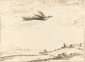 Ave del paraíso de Jacques Callot