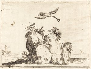 Grulla volando de Jacques Callot