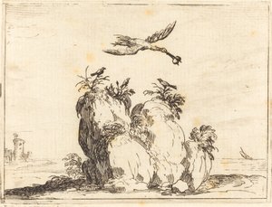 Grulla volando de Jacques Callot
