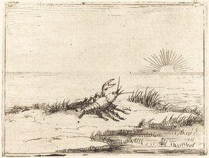 Cangrejo de río mirando al sol de Jacques Callot