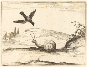 Cuervo y caracol de Jacques Callot
