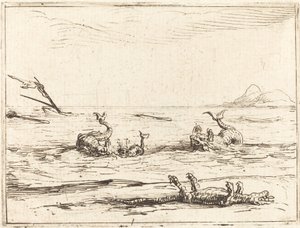 Delfines y cocodrilo de Jacques Callot