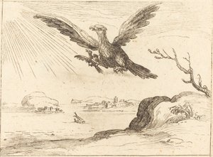 Águila y crías de Jacques Callot