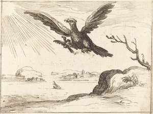 Águila y Crías de Jacques Callot