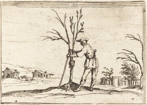 Jardinero podando un árbol de Jacques Callot