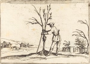 Jardinero podando un árbol de Jacques Callot