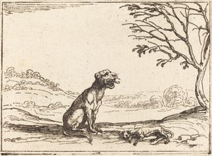 Leona llorando a su cachorro de Jacques Callot