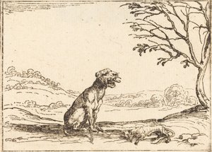Leona llorando a su cachorro de Jacques Callot