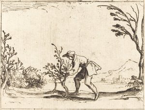 Hombre cortando un árbol de bálsamo