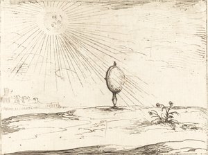 Rayos del sol