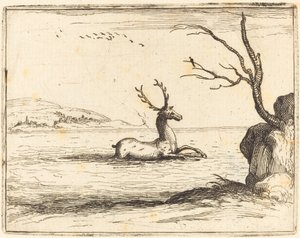 Ciervo en el Agua de Jacques Callot