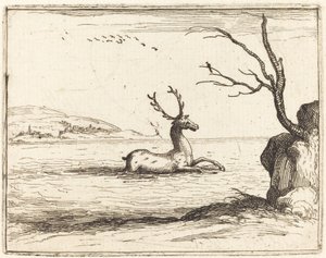 Ciervo en el Agua de Jacques Callot