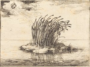 Los juncos y el viento de Jacques Callot