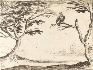 El buitre de Jacques Callot