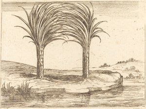 Dos palmeras