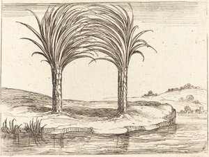 Dos palmeras