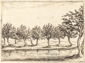 Sauces al borde del agua de Jacques Callot