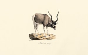  de Jacques Christophe Werner