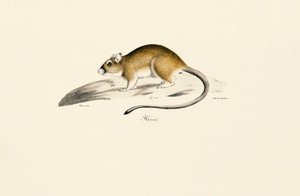  de Jacques Christophe Werner