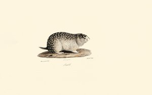  de Jacques Christophe Werner