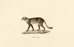 de Jacques Christophe Werner