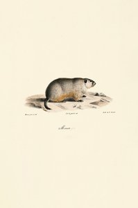  de Jacques Christophe Werner