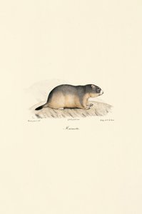  de Jacques Christophe Werner