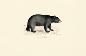  de Jacques Christophe Werner