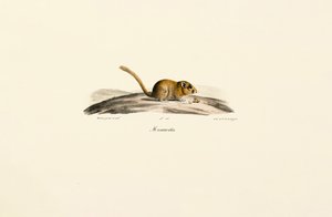  de Jacques Christophe Werner