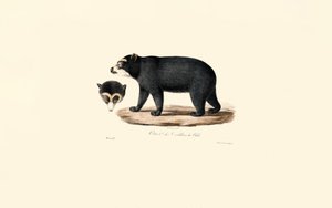  de Jacques Christophe Werner