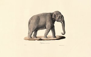  de Jacques Christophe Werner