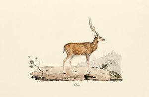  de Jacques Christophe Werner
