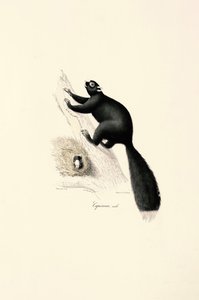  de Jacques Christophe Werner