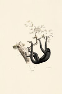  de Jacques Christophe Werner