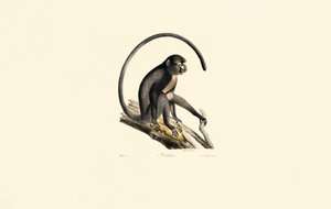  de Jacques Christophe Werner