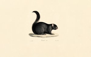  de Jacques Christophe Werner