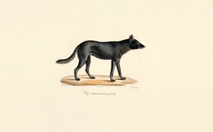  de Jacques Christophe Werner