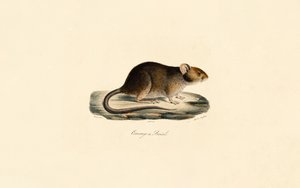  de Jacques Christophe Werner