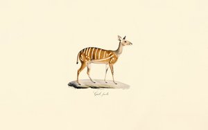  de Jacques Christophe Werner