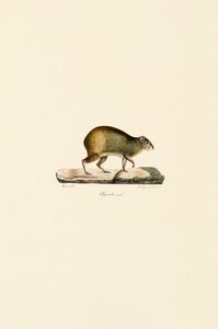  de Jacques Christophe Werner