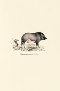  de Jacques Christophe Werner