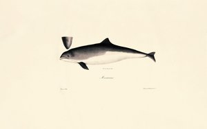  de Jacques Christophe Werner