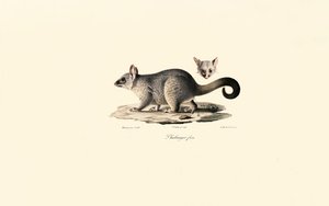  de Jacques Christophe Werner